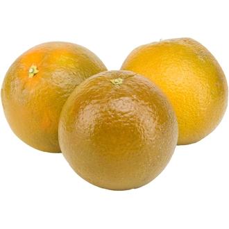Suklaa-appelsiini Navelina Espanja