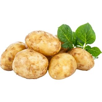 H&H Tuominen Kuokka Annabelle