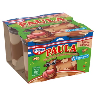 Dr. Oetker Paula suklaavanukas ja pähkinänmakuiset täplät 4x125g laktoositon