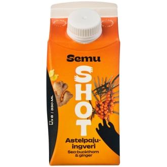 Semu Tyrni-inkivääri shot 330ml