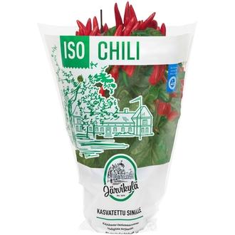 Järvikylä Chili iso