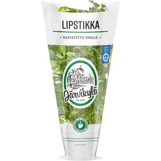 Järvikylän lipstikka min 25 g