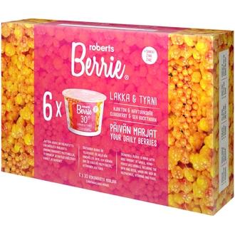6 x Roberts Berrie lakka & tyrni 100 ml