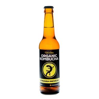 Kellaripanimo 330Ml Kombucha Sitruuna-Inkivääri Klp