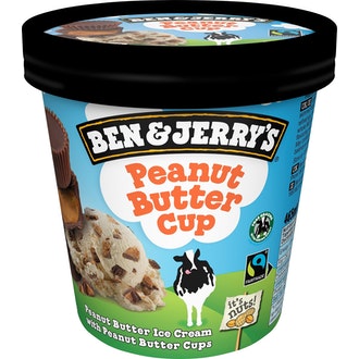 Ben&Jerry\'s jäätelö 465ml/425g peanut butter